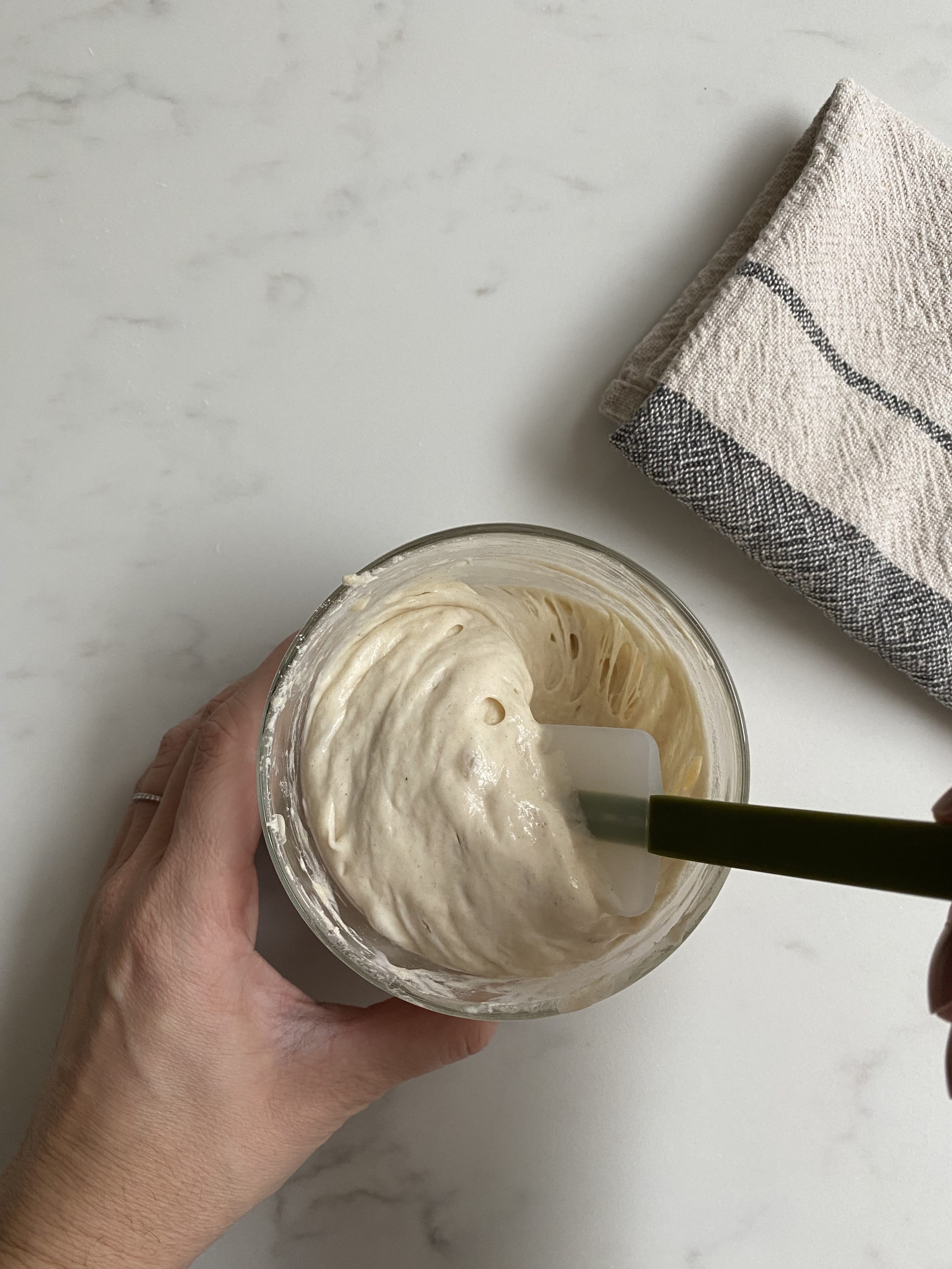 Sourdough Starter Guidebook Sourdough Explained