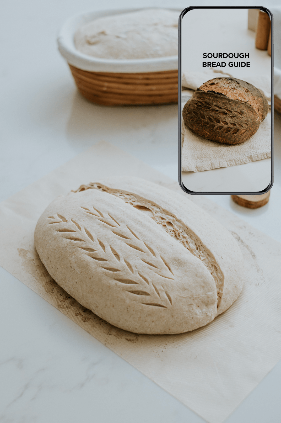 Sourdough Bread Guide Sourdough Explained